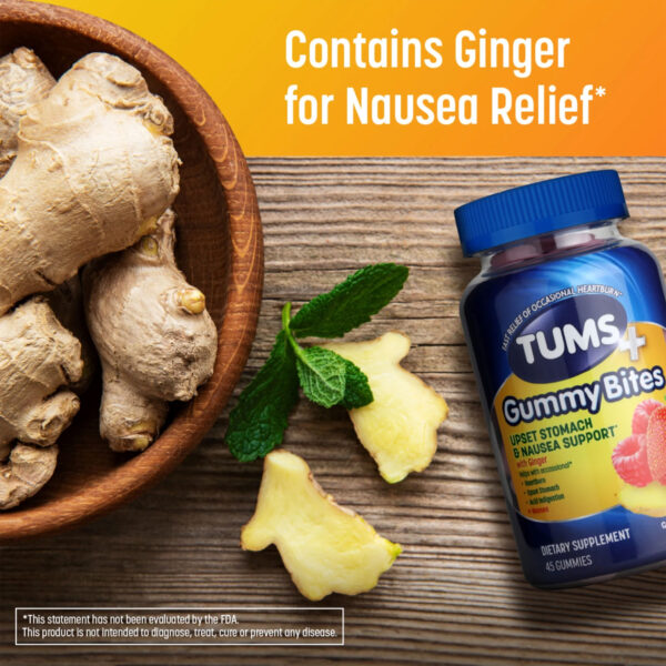 Upset Stomach & Nausea Support Dietary Supplement Ginger Berry - Image 3